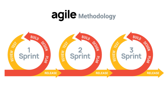 agile-model-1